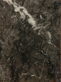 Elton | Marble tiles