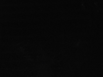 absolut Schwarz