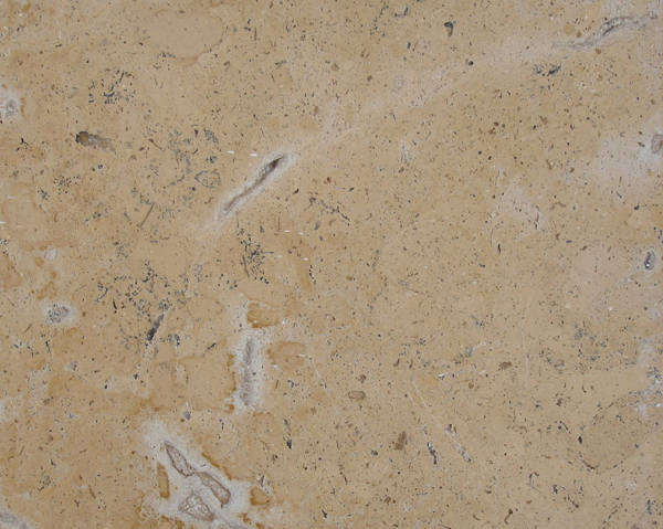 Travertine and Limestone,Chinese Limestone Color,Chinese Limestone