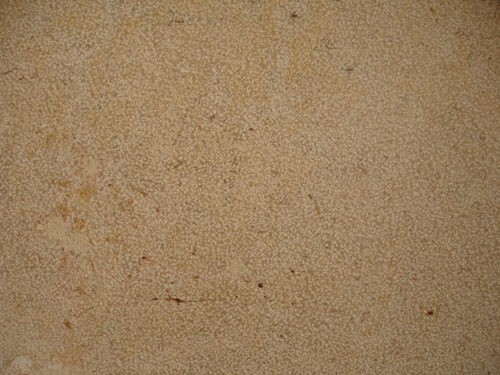 Travertine and Limestone,Chinese Limestone Color,Limestone Color