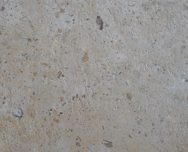 Travertine and Limestone,Chinese Limestone Color,Chinese Limestone